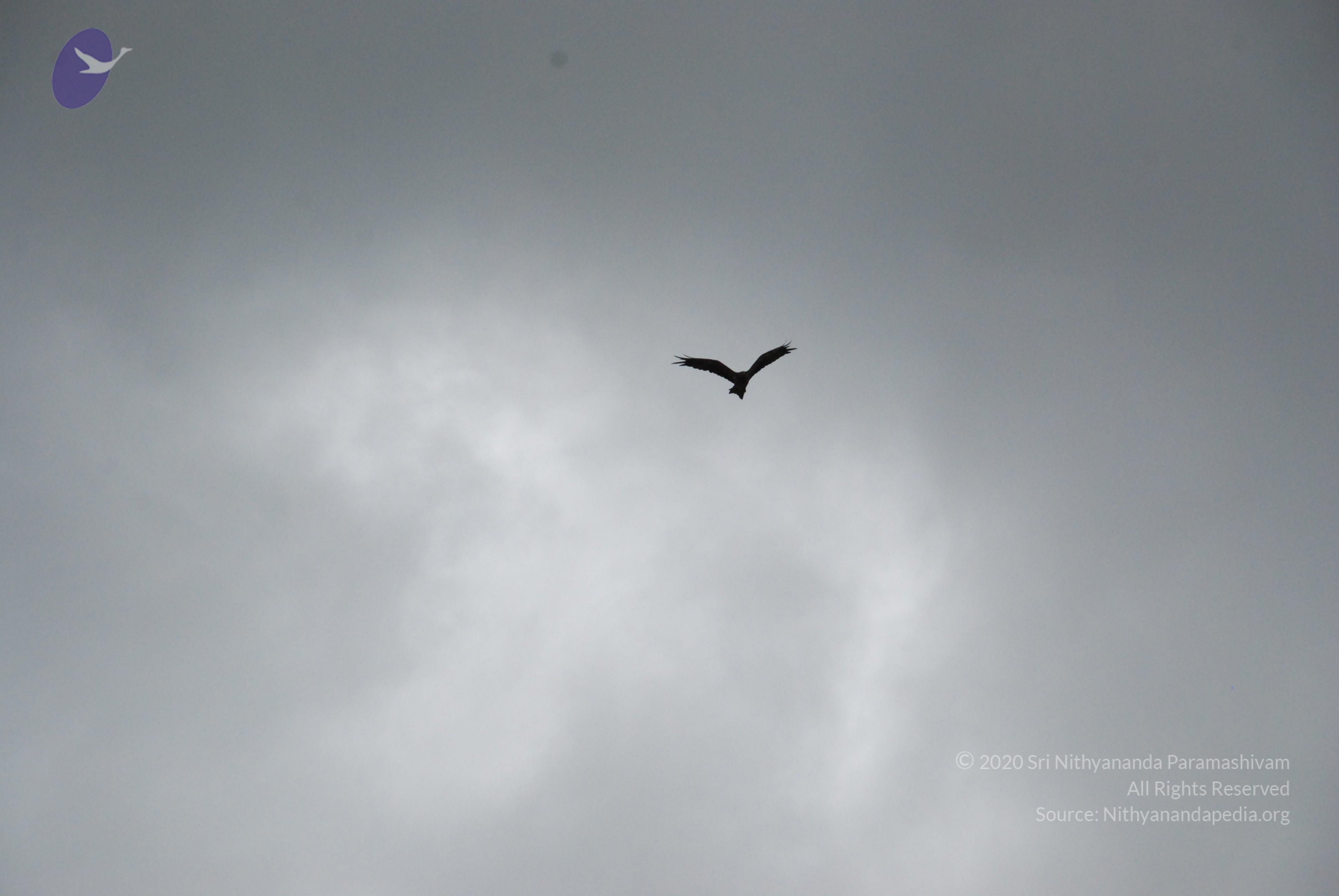 20170720_Photo_1000_DSC_4302_CMP_WM