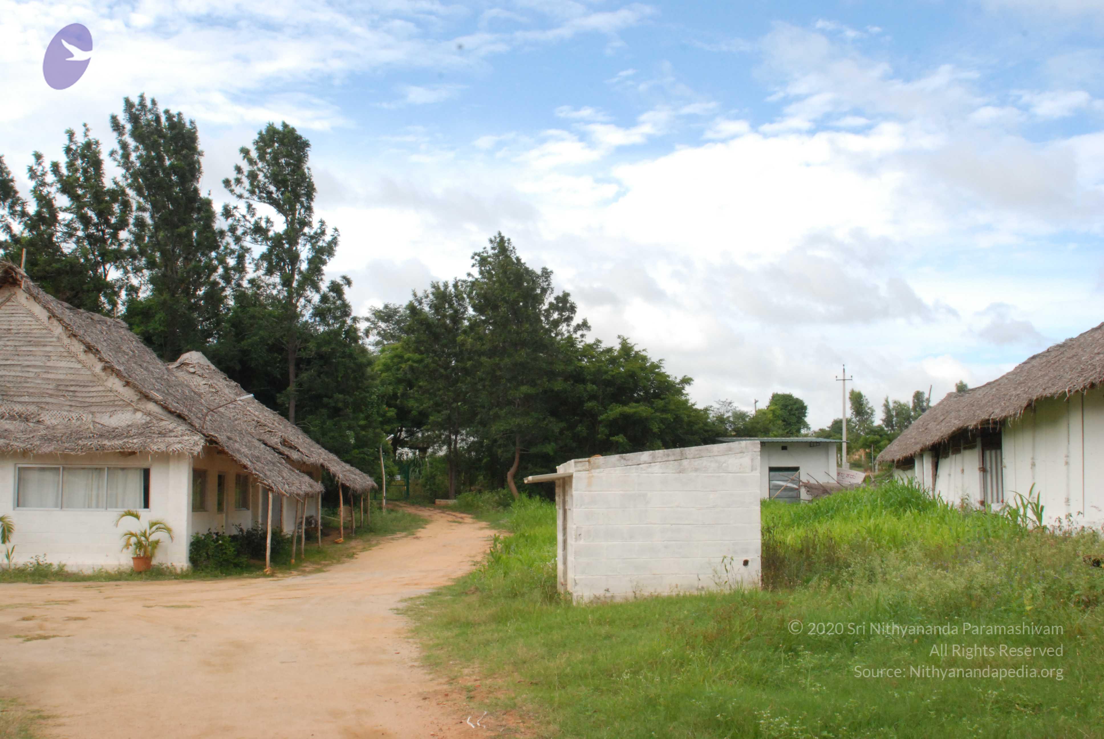 20170720_Photo_1002_DSC_4252_CMP_WM