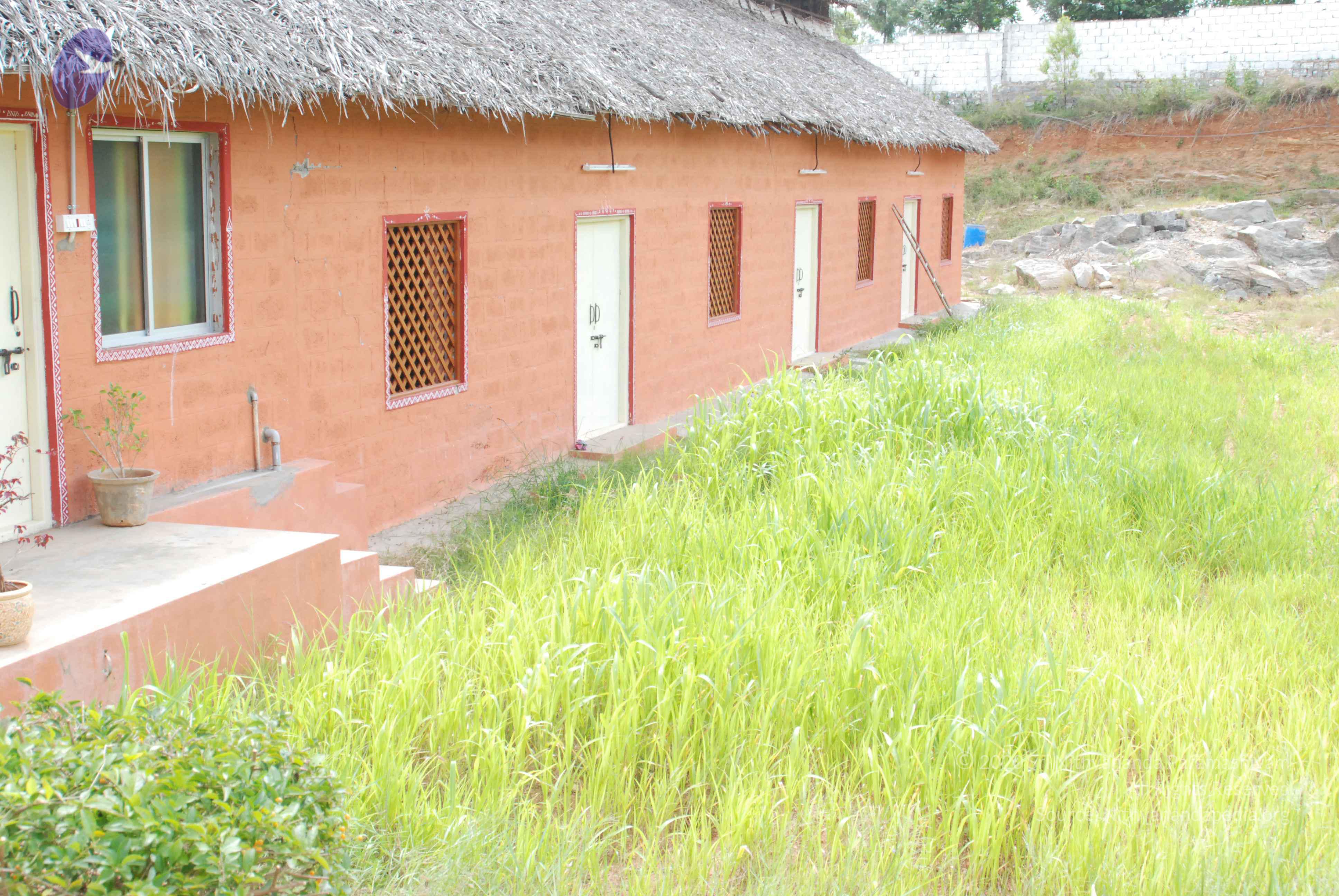 20170720_Photo_1003_DSC_4265_CMP_WM