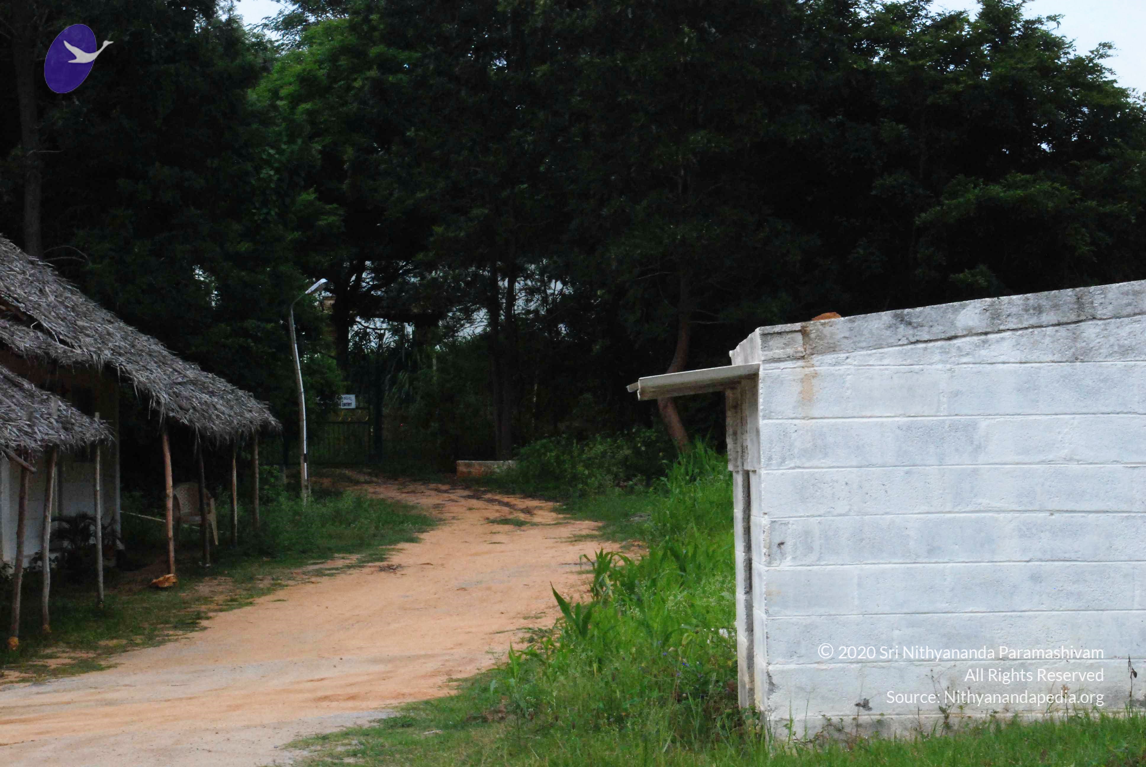 20170720_Photo_1005_DSC_4257_CMP_WM