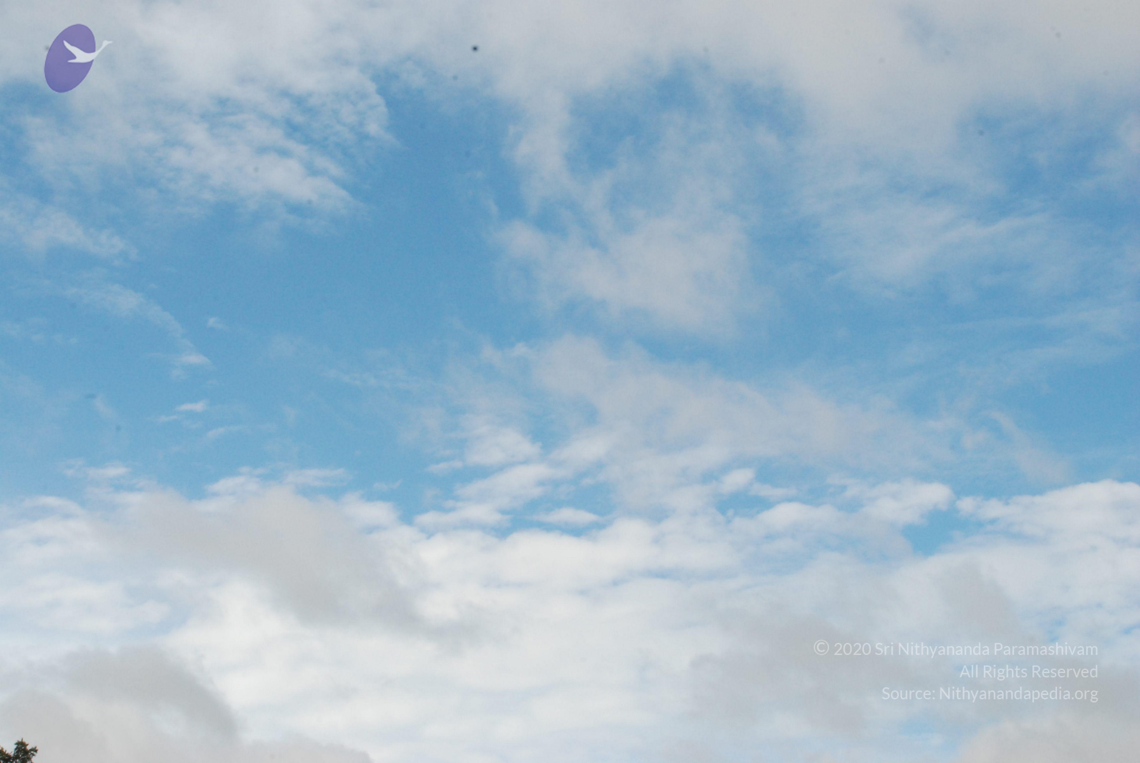 20170720_Photo_1010_DSC_4255_CMP_WM