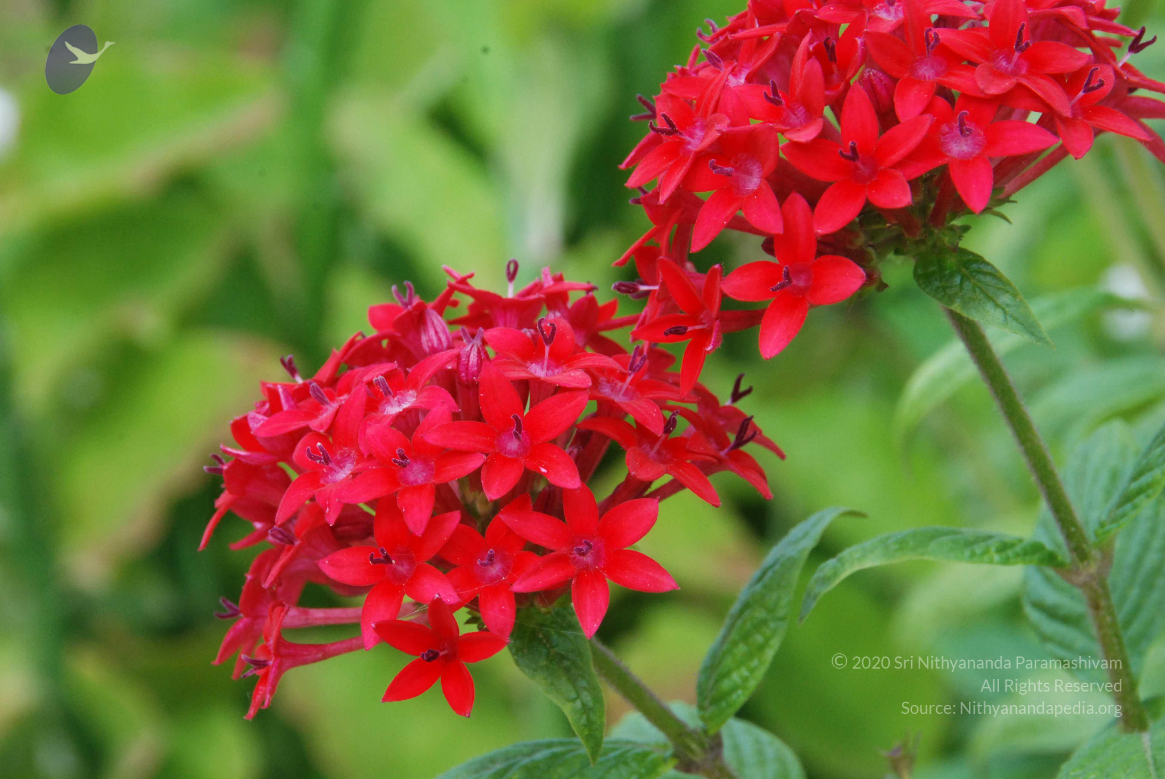 20170720_Photo_1012_DSC_4249_CMP_WM