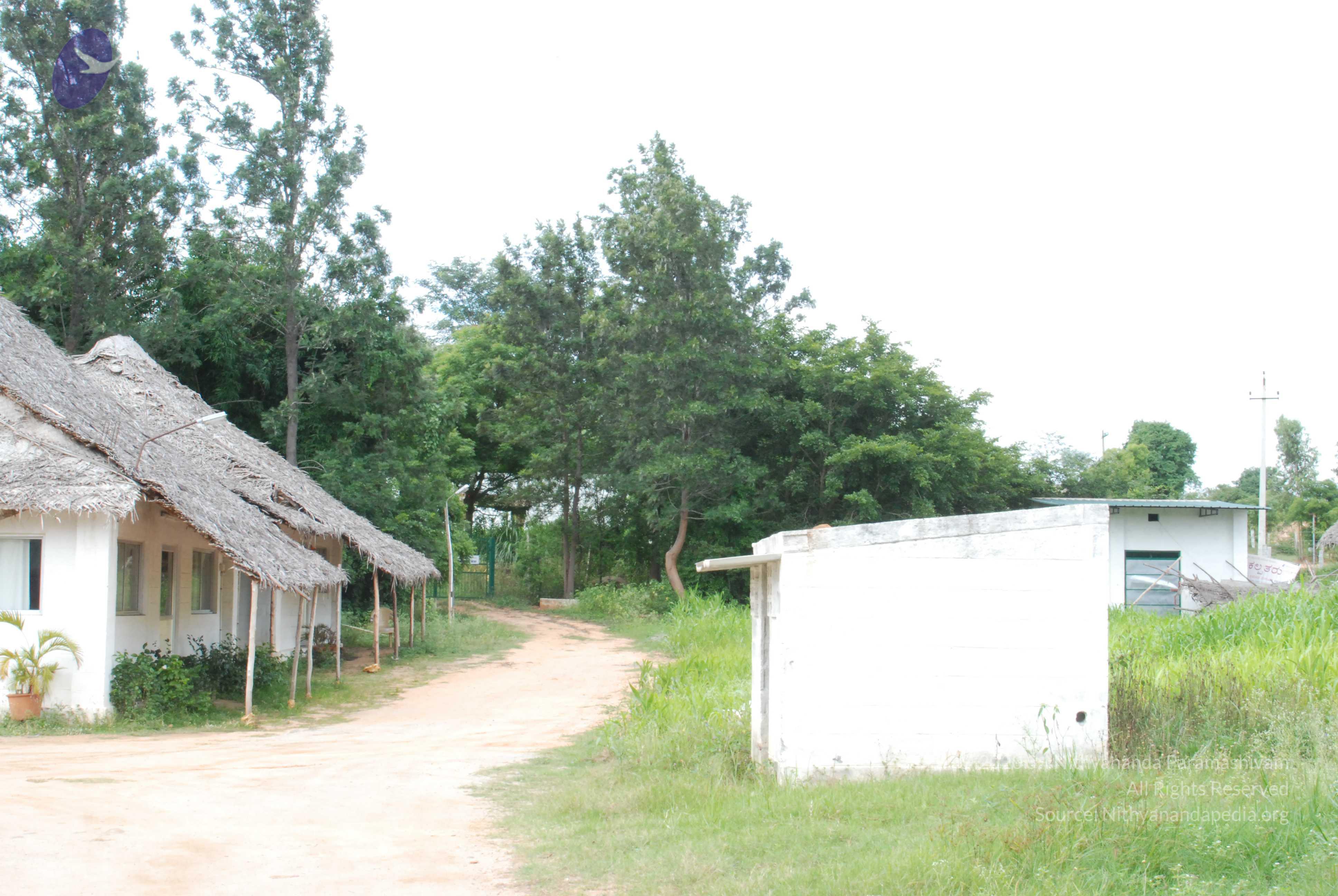 20170720_Photo_1013_DSC_4258_CMP_WM