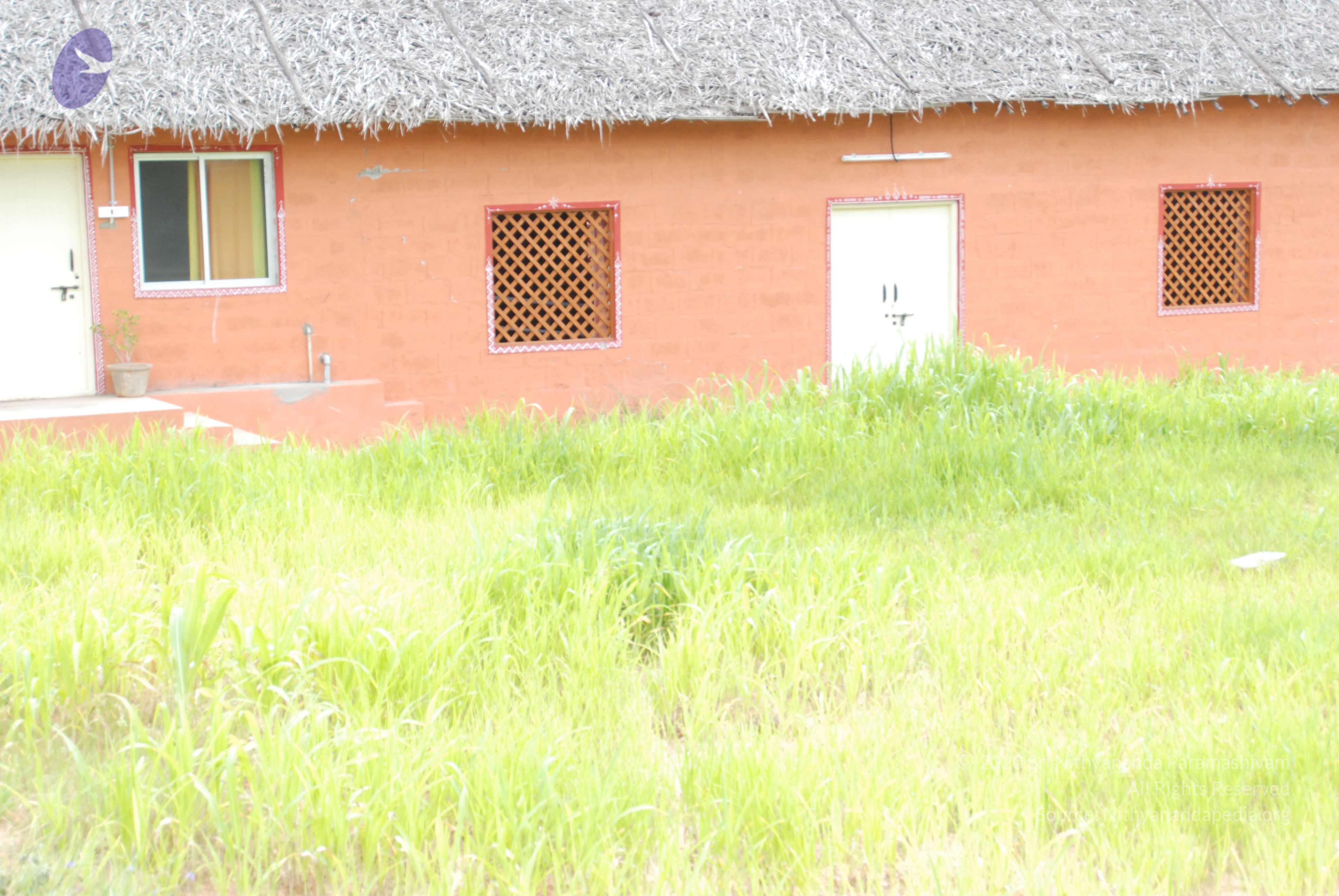 20170720_Photo_1016_DSC_4261_CMP_WM