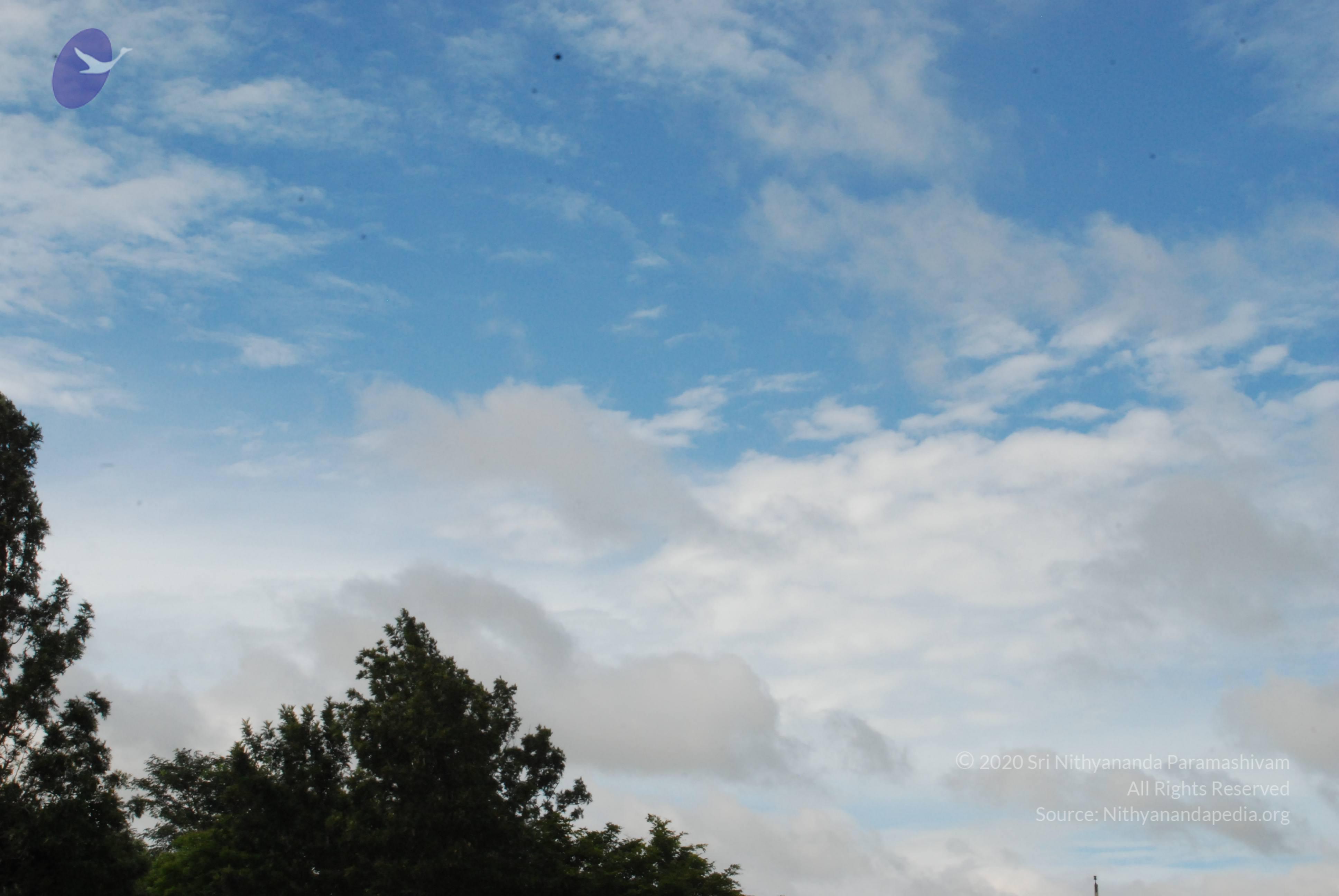 20170720_Photo_1017_DSC_4256_CMP_WM