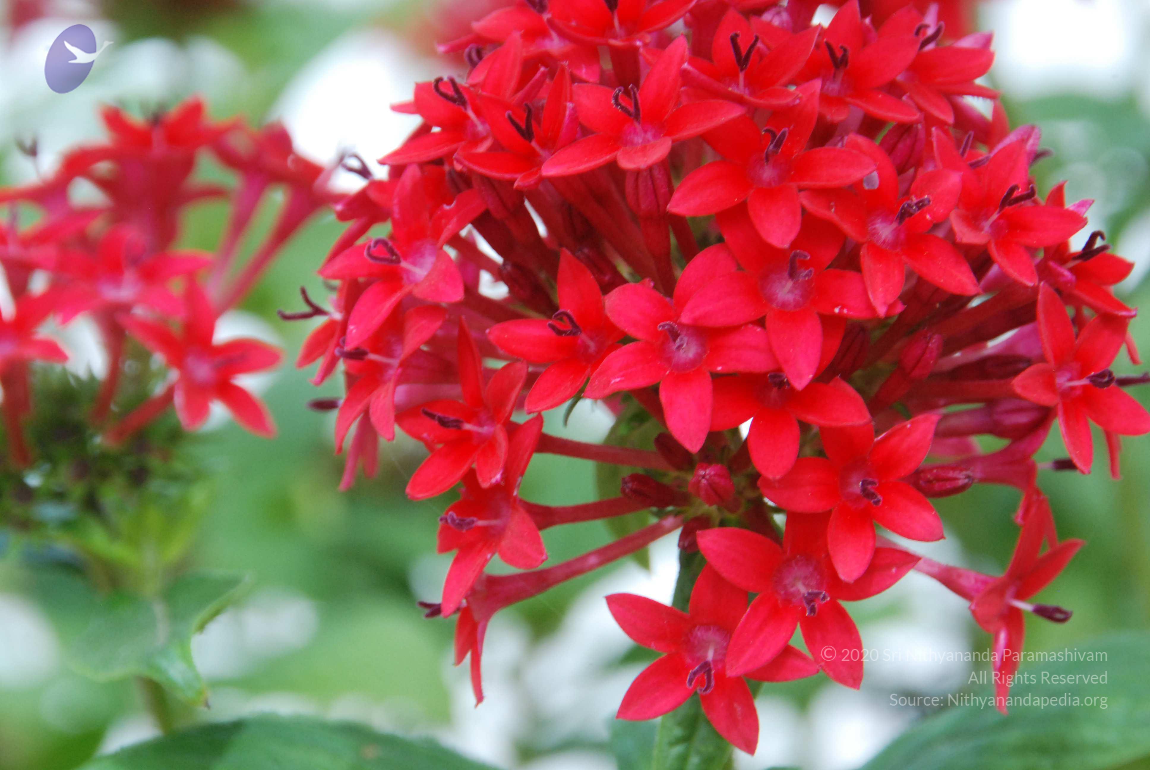 20170720_Photo_1018_DSC_4247_CMP_WM