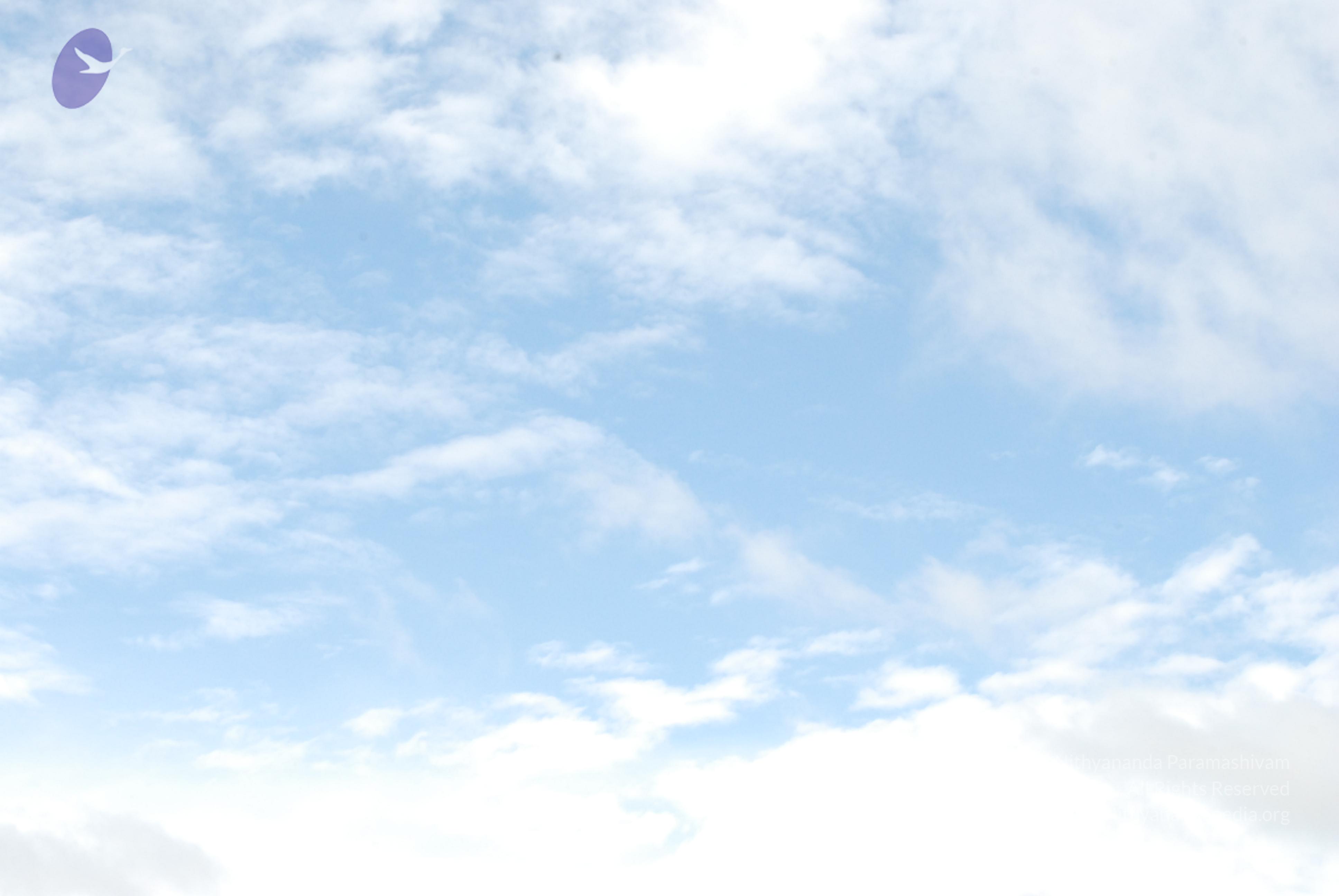 20170720_Photo_1022_DSC_4253_CMP_WM