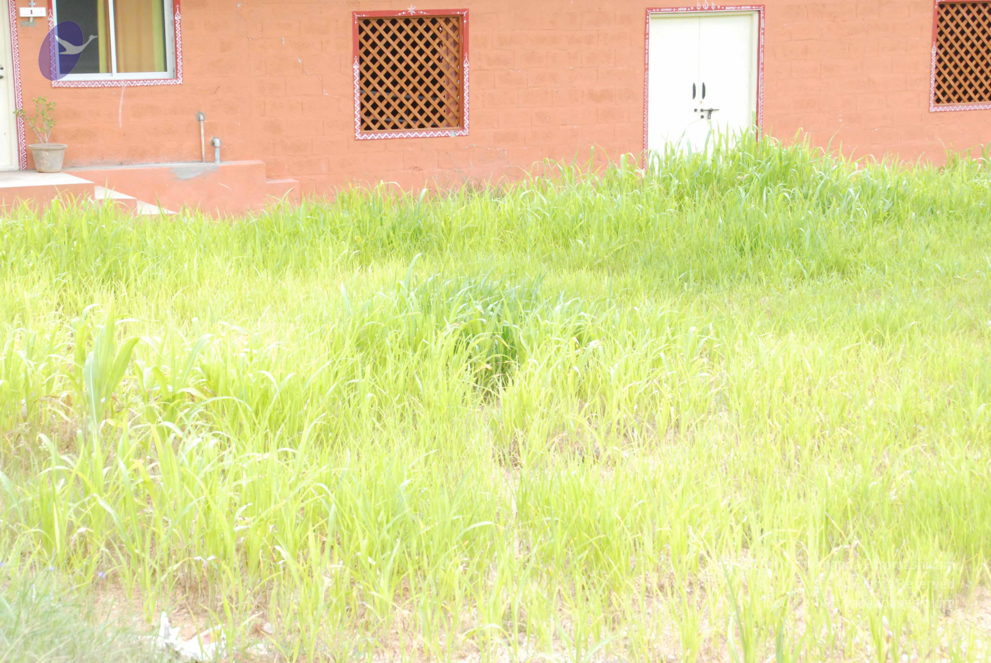 20170720_Photo_1023_DSC_4264_CMP_WM