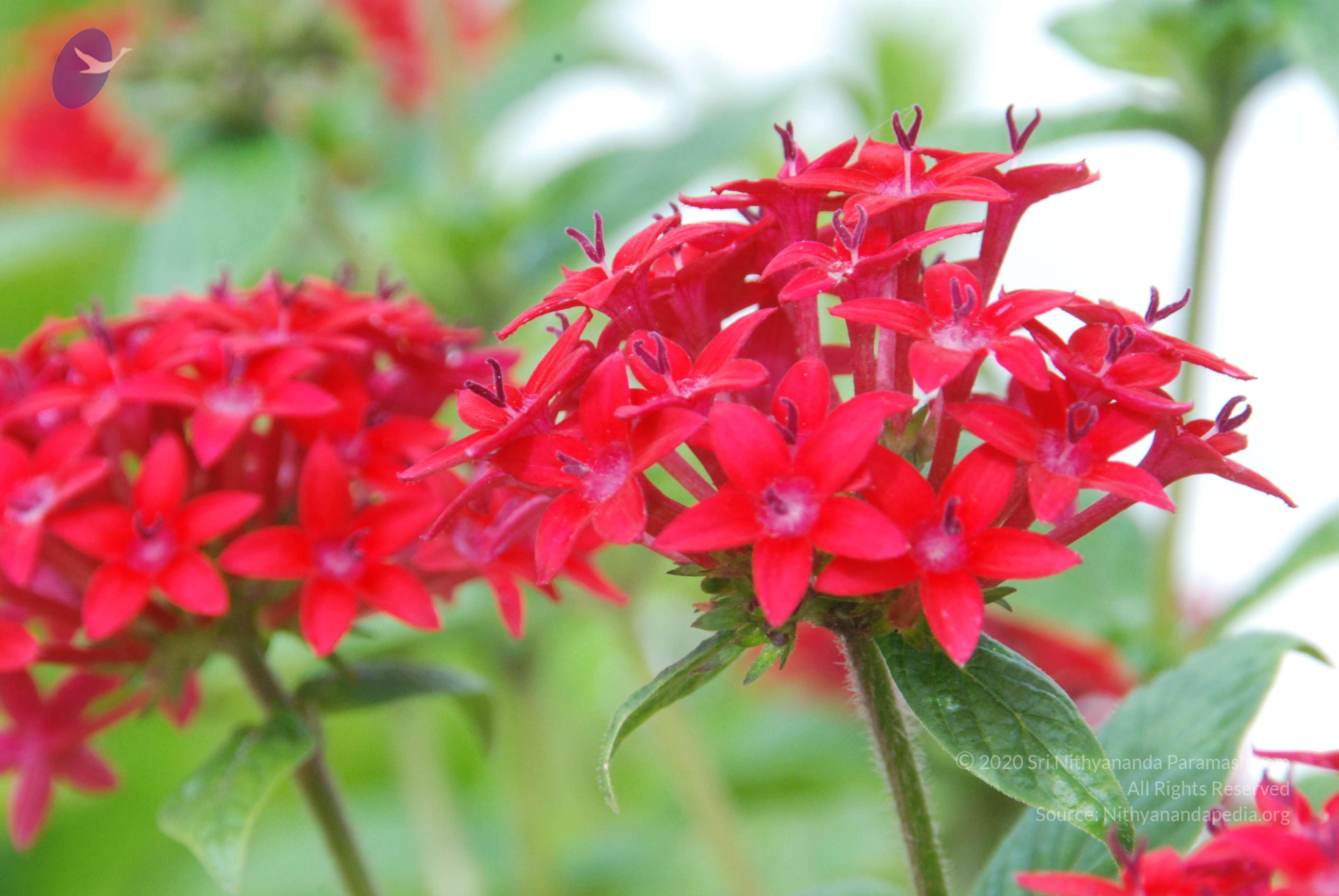 20170720_Photo_1026_DSC_4248_CMP_WM