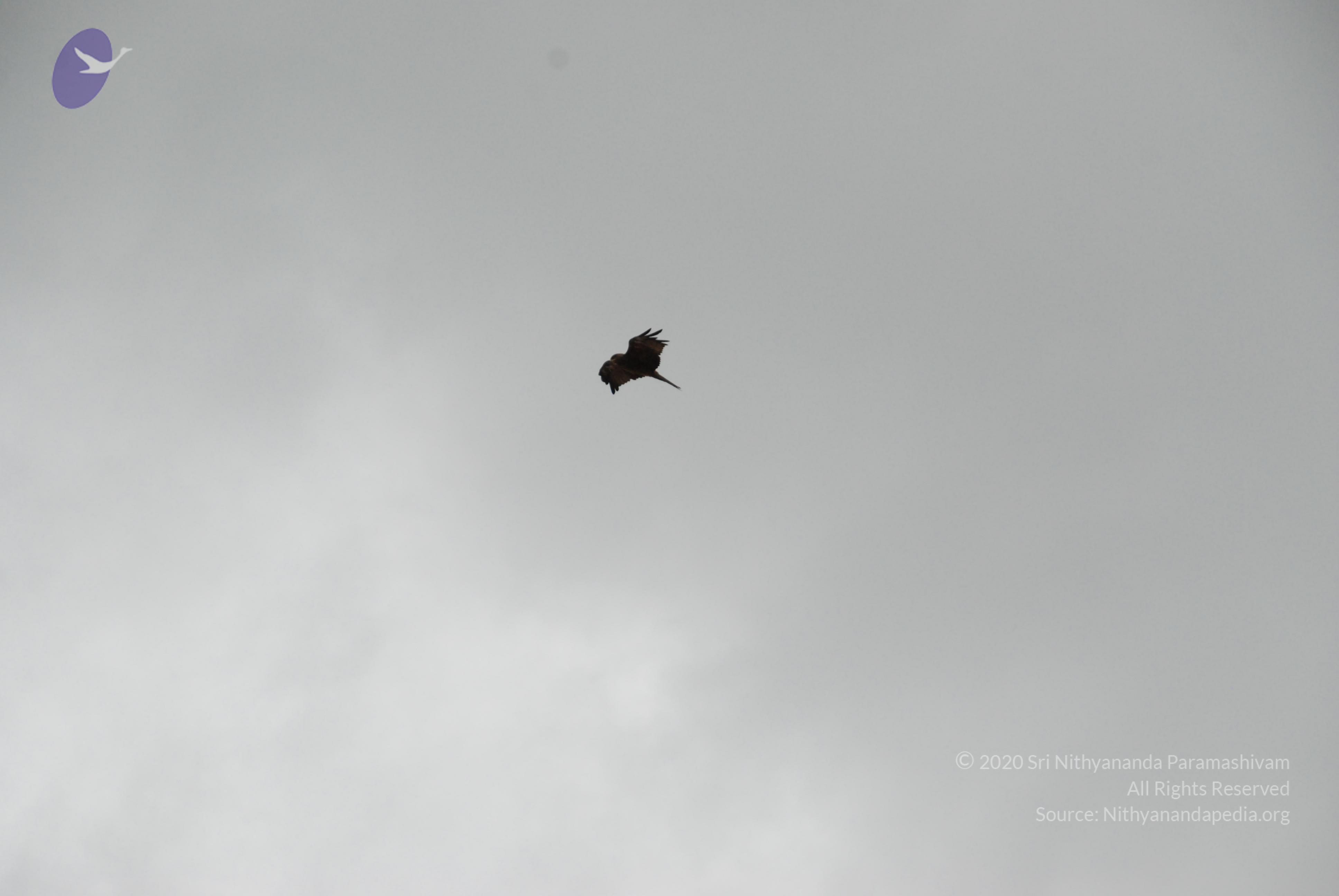 20170720_Photo_1028_DSC_4304_CMP_WM