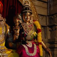 20170720_Photo_1008_DSC_4610_CMP_WM