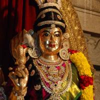 20170720_Photo_1019_DSC_4618_CMP_WM