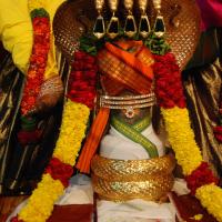 20170720_Photo_1022_DSC_4666_CMP_WM