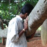 20170720_Photo_1011_DSC_4231_CMP_WM