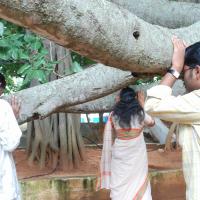 20170720_Photo_1012_DSC_4227_CMP_WM