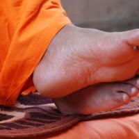 20170720_Photo_1017_DSC_4161_CMP_WM