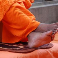 20170720_Photo_1040_DSC_4150_CMP_WM