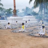 20170720_Photo_1010_DSC_3900_CMP_WM