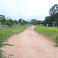 20170720_Photo_1026_DSC_3898_CMP_WM