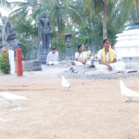 20170720_Photo_1034_DSC_4001_CMP_WM