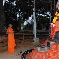 20170720_Photo_1059_DSC_3811_CMP_WM