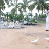 20170720_Photo_1077_DSC_4078_CMP_WM