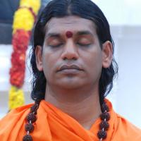 20170720_Photo_1084_DSC_3913_CMP_WM