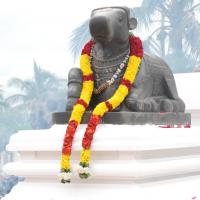 20170720_Photo_1097_DSC_3968_CMP_WM