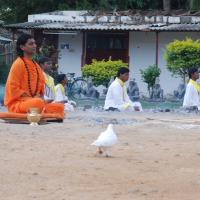 20170720_Photo_1154_DSC_4008_CMP_WM