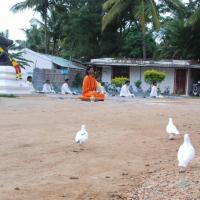 20170720_Photo_1170_DSC_4005_CMP_WM