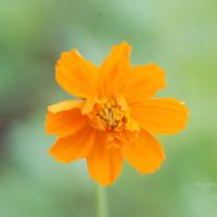 20170720_Photo_1180_DSC_3972_CMP_WM