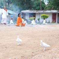 20170720_Photo_1188_DSC_3996_CMP_WM