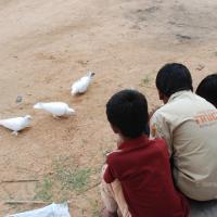 20170720_Photo_1202_DSC_4071_CMP_WM