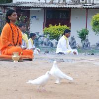 20170720_Photo_1241_DSC_4007_CMP_WM