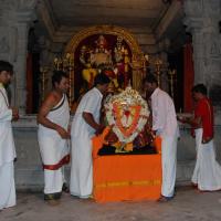 20170720_Photo_1014_DSC_4413_CMP_WM