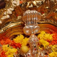 20170720_Photo_1017_DSC_4565_CMP_WM