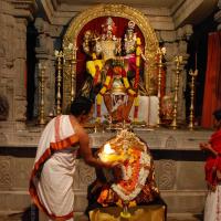 20170720_Photo_1019_DSC_4497_CMP_WM