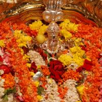 20170720_Photo_1025_DSC_4557_CMP_WM