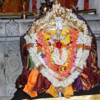 20170720_Photo_1062_DSC_4537_CMP_WM