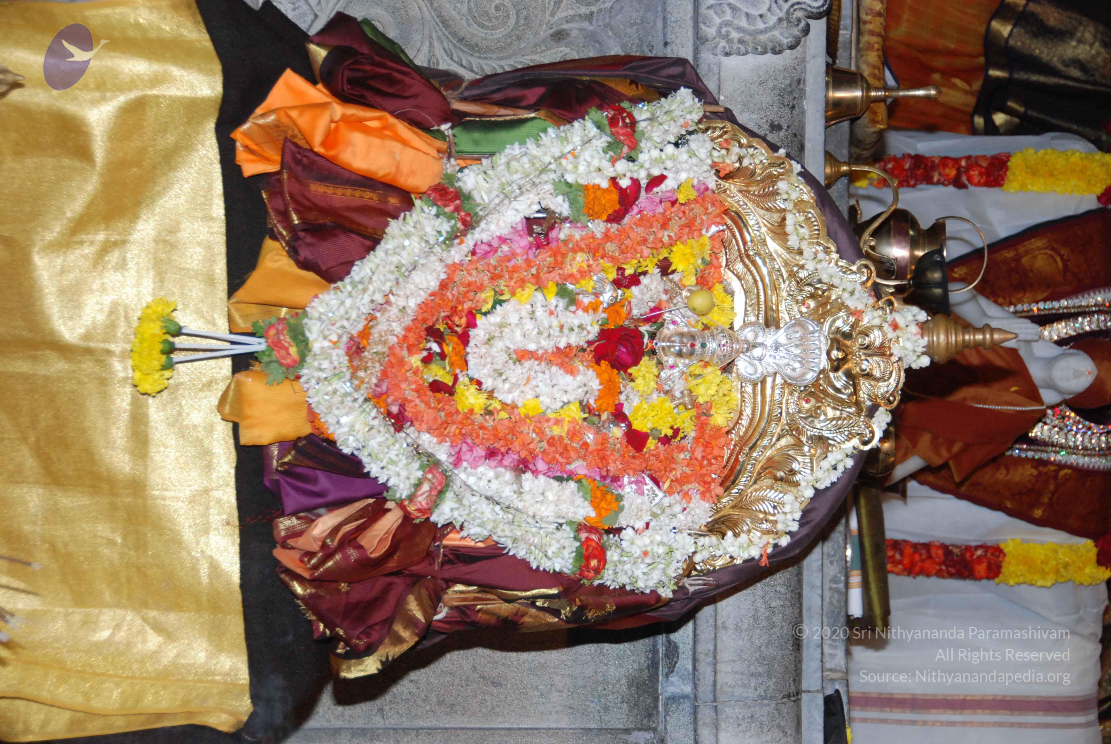 20170720_Photo_1123_DSC_4536_CMP_WM