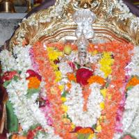 20170720_Photo_1126_DSC_4440_CMP_WM