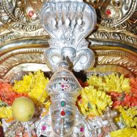 20170720_Photo_1134_DSC_4591_CMP_WM