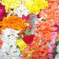 20170720_Photo_1135_DSC_4607_CMP_WM