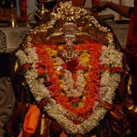 20170720_Photo_1139_DSC_4451_CMP_WM