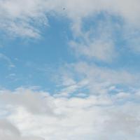 20170720_Photo_1010_DSC_4255_CMP_WM