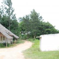 20170720_Photo_1013_DSC_4258_CMP_WM