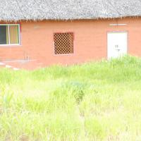 20170720_Photo_1016_DSC_4261_CMP_WM