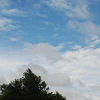 20170720_Photo_1017_DSC_4256_CMP_WM