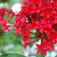 20170720_Photo_1018_DSC_4247_CMP_WM