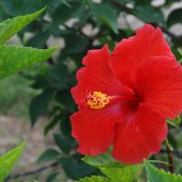 20170720_Photo_1019_DSC_4239_CMP_WM